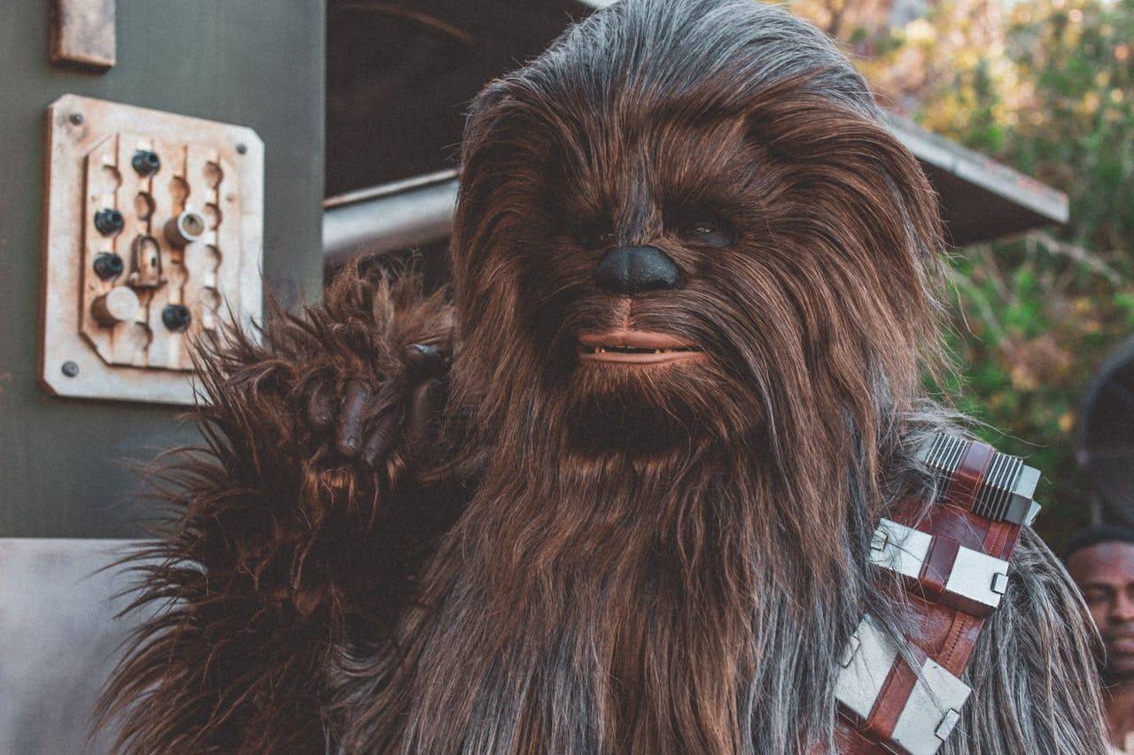 Chewbacca wearing a fur mask, resembling a primate, in front of a person.